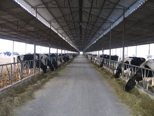 China Pre-engineered Steel Framing Systems Breeding Cow / Horse With Roof Panels supplier