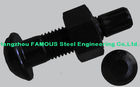 China Steel Buildings Kits Black Bolts And Fasteners With High Tension Hex Bolts factory