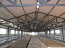 China Durable Prefabricated Steel Framing Cow / Horse Systems With Flexible High Space Utilization factory