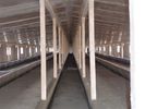 China Steel Sandwich Panel Material Poultry Steel Framing Systems For Breeding Chicken factory