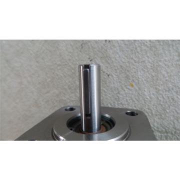 Concentric Costa Rica  1070043 0.323 Cu In/Rev Birotational Hydraulic Gear Pump/Motor