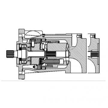 Dansion Gibraltar  P080 series pump P080-06L1C-W8P-00