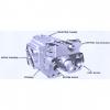 Dansion St. Kitts  gold cup piston pump P30R-7L1E-9A7-B0X-C0