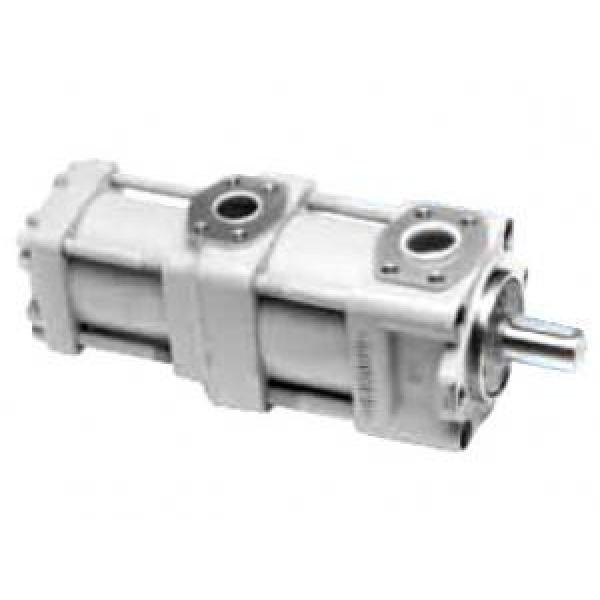 QT4223-25-6.3F Italy QT Series Double Gear Pump #1 image