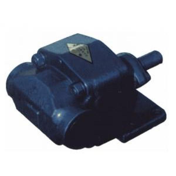BCB USA Series Gear Oil Pump BCB-160/1.6 #1 image