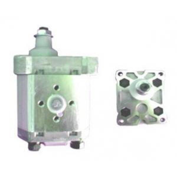 Atos Korea PFG-1 fixed displacement pump #1 image