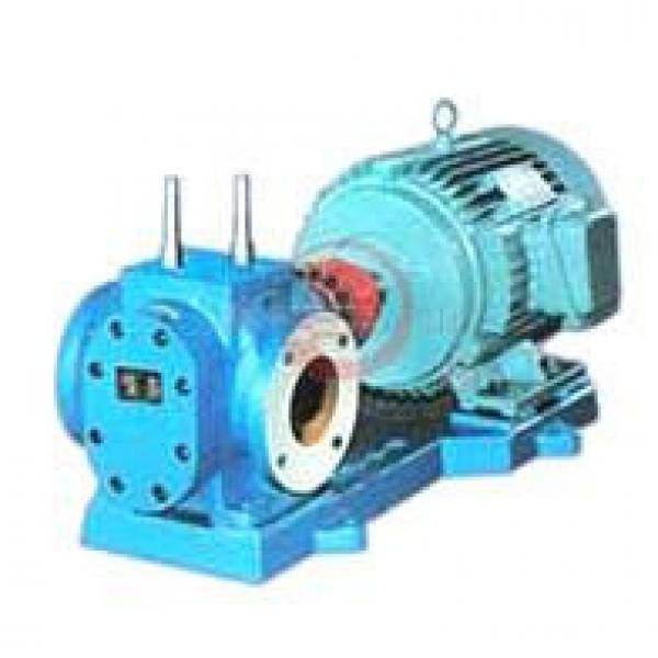 RCB India Series Insulation Gear Pumps #1 image