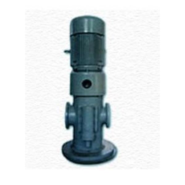 3GL type screw pump (vertical) #1 image