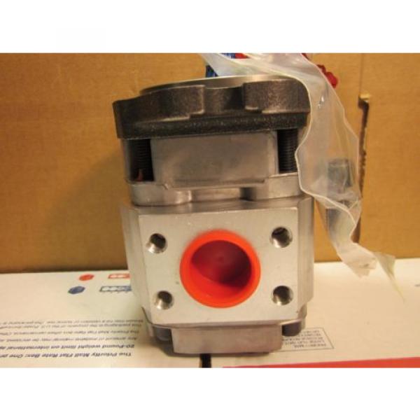 Rexroth Jordan  R900888548 gear pumps origin No Box #6 image
