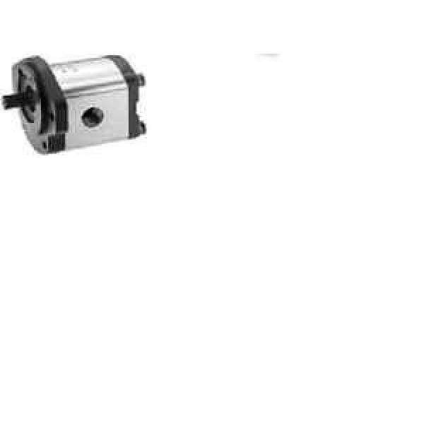 Bosch Egypt  Rexroth External Gear pumps ,Type AZPF-21-022RNL-20-KB #1 image