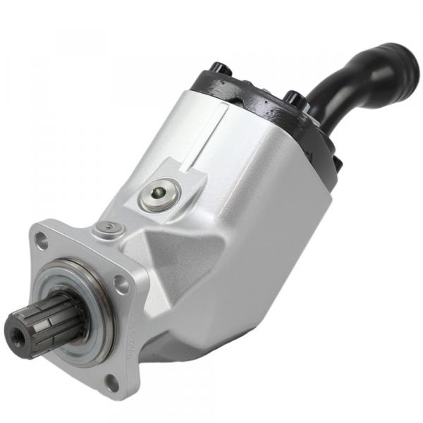 T6EC-066-020-1R00-C100 pump Original import #1 image