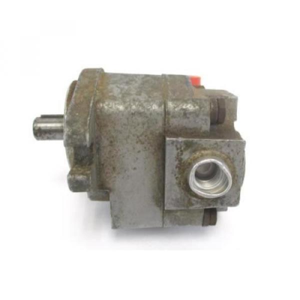 Rexroth Fiji  S12S17AK25R Hydraulic Gear pumps 05010 #3 image