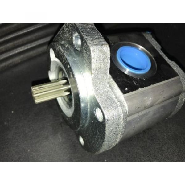 Hydraulic Liechtenstein  pumps Rexroth Gear 9510290040 15W17-7362 Origin #3 image